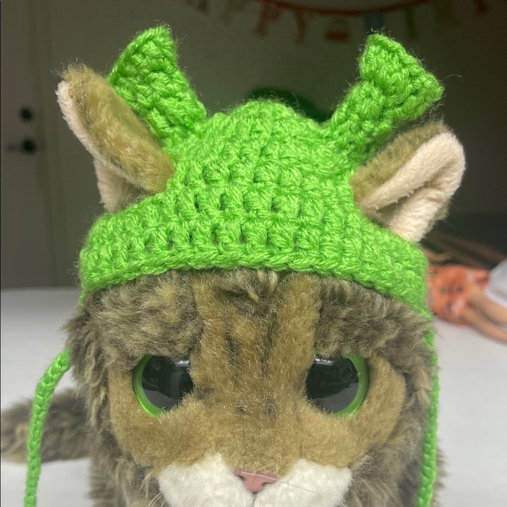 Hand Crafted Green Cat Hat